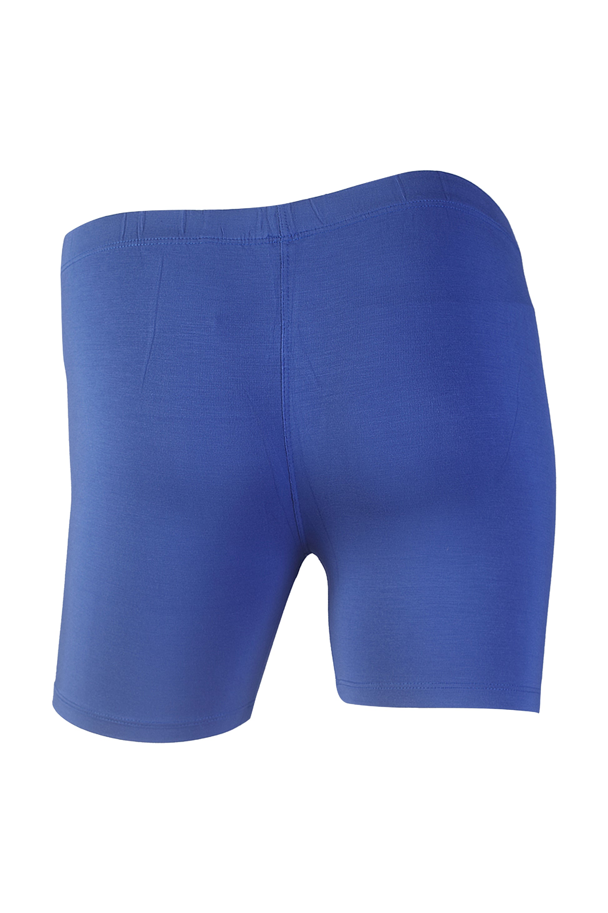 RoyalBlue2